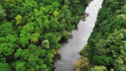 Polluted river Stock Footage 98446391
