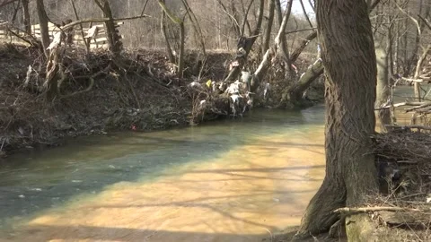 Polluted river Stock Footage 150025505