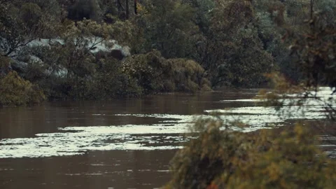 Polluted river Video stock 150782784