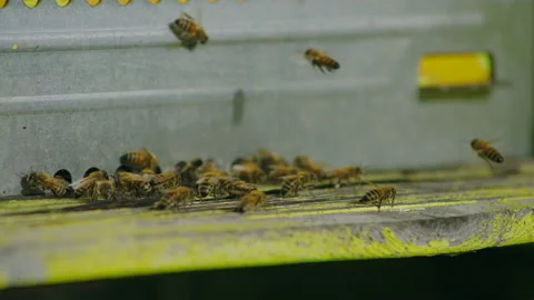 Polluted River Stock Footage 220276217