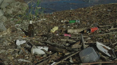 Polluted River Stock Footage 220580557