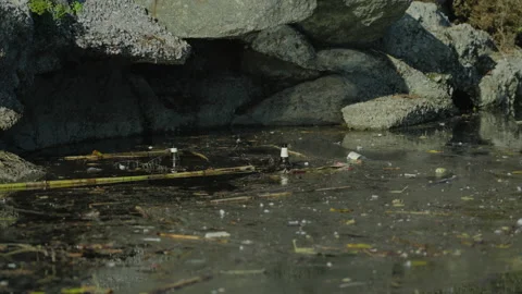 Polluted River Stock Footage 220580813