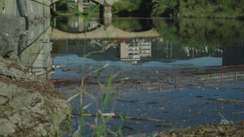 Polluted River Stock Footage 220580859