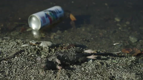 Polluted River Stock Footage 220582577