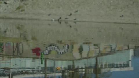 Polluted River Stock Footage 220599018