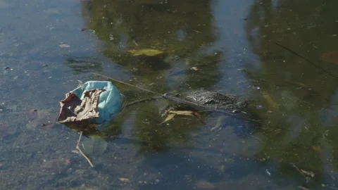 Polluted River Stock Footage 220599484