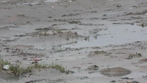 Polluted river with garbage and trash in the sand Stock Footage 114387578