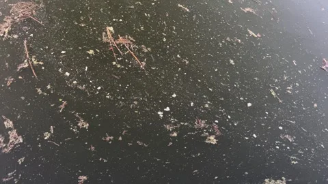 Polluted River With Garbage Background Stock Footage 250138507