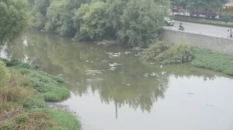 Polluted river next to the road. Stock Footage