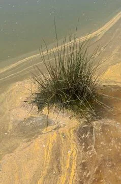 Polluted river Stock Photos