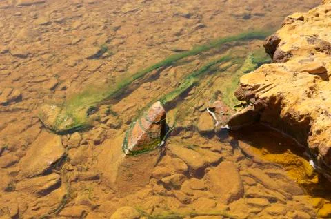 Polluted river Stock Photos