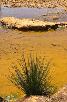 Polluted river Stock Photos