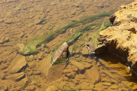 Polluted river Stock Photos