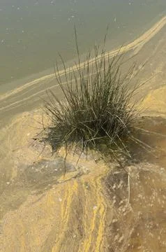 Polluted river Stock Photos