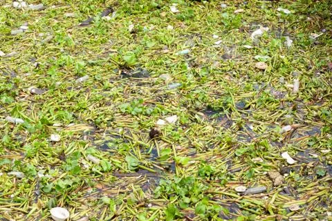 Polluted river Stock Photos