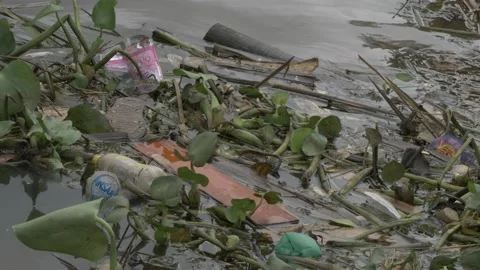 Polluted river by piles od plastic garbage and household waste Stock Footage 142121510