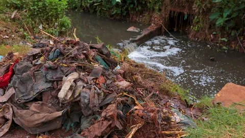 Polluted river with plastic bags floating - Polluted stream in Kenya, East 스톡 동영상 253546831