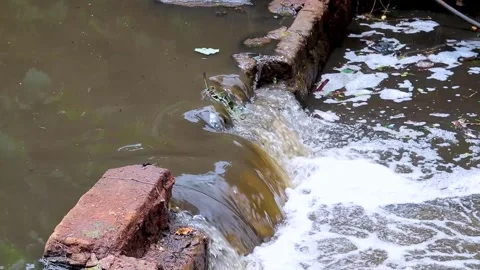 Polluted river with plastic bags floating - Polluted stream in Kenya, East Video stock 253554386