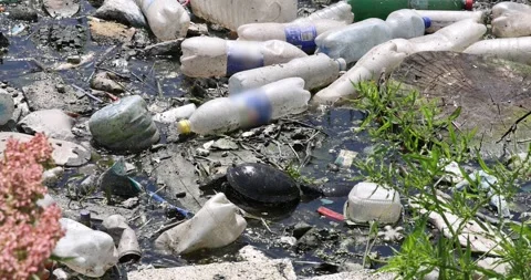 Polluted river with plastic bottles and garbage, turtles swimming Stock Footage 274665771