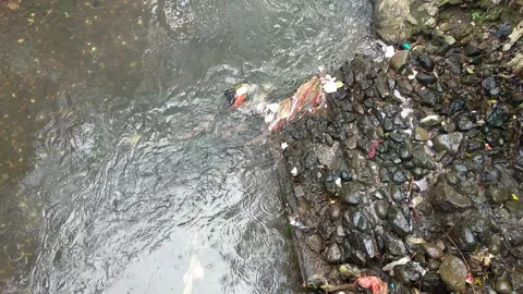 Polluted river with plastic trash. Stock-Footage 168572876