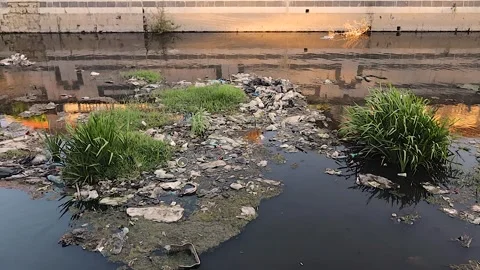 Polluted river with plastic waste and garbage symbolizing environmental crisis Stock Footage 317071693