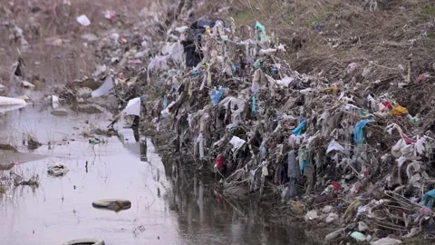 Polluted river with plastic waste in. Plastic bags and bottles on tree branches Vidéo 331512726