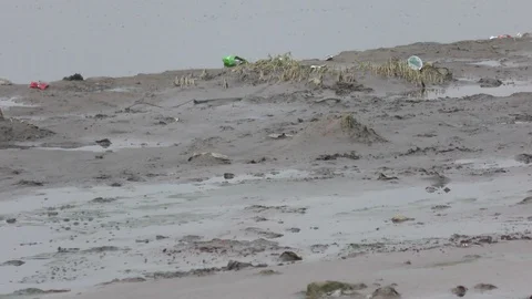 Polluted river side and trash in the sands Stock Footage 114387500
