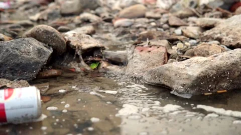 Polluted river view. Garbage trash in water, climate change Stock Footage 168326106