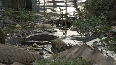 Polluted river, waste and pollution on riverside of old shipyard Stock Footage 137435266