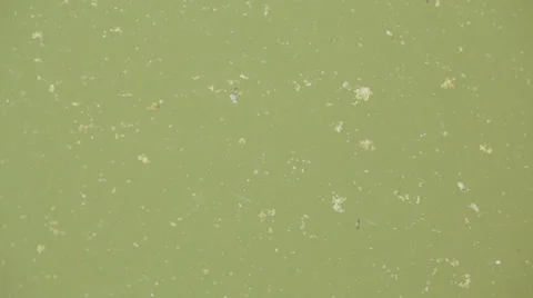Polluted River Water Stock Footage 37719107