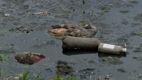 Polluted rivers and oceans with plastic trash. Stock Footage 134582394