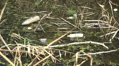 Polluted rivers Stock Footage 136558682