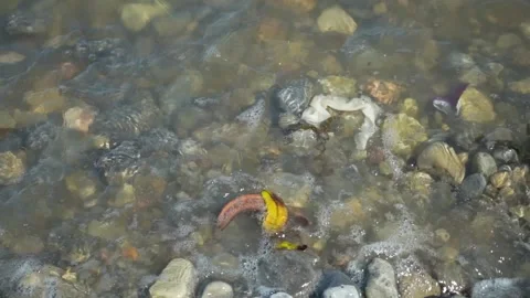 Polluted rocky shore. Pollution on a ocean beach. Trash left by people, FullHD Stock Footage 234773623