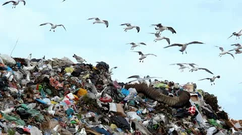 Polluted scene 스톡 동영상 12235185