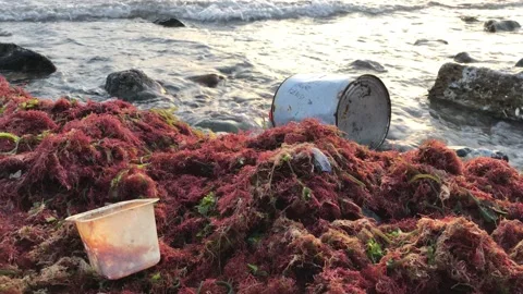 Polluted sea Stock Footage 145681199