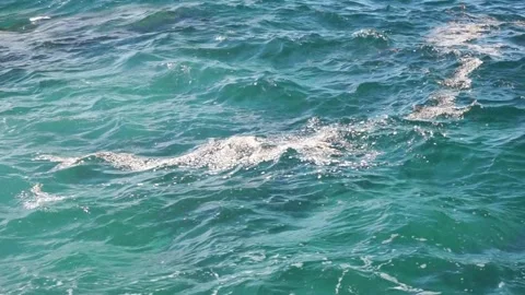 Polluted sea surface with floating scum, pollution threatening marine wildlife Stock Footage 301556857