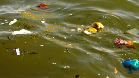 Polluted sea water Stock Footage 124144959