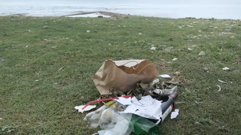 Polluted seashore and sea waves Stock Footage 158994503