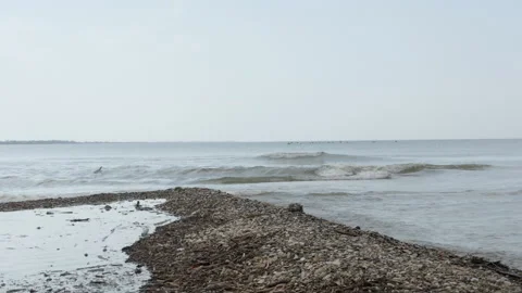 Polluted seashore and sea waves Stock Footage 158994551