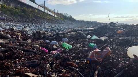 Polluted shore, garbage on the beach, empty plastic bottles, rubber shoes Stock Footage 121965351