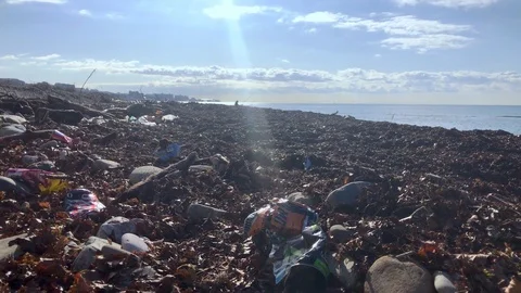 Polluted shore, garbage on the beach, empty plastic bottles, rubber shoes Stock Footage 121965928