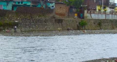A polluted small river India Stock Footage 109613251