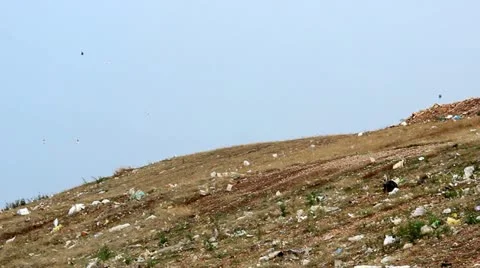 Polluted soil Stock Footage 12243126