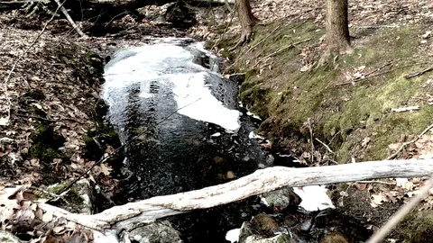 Polluted Stream foams 库存影片 88192015