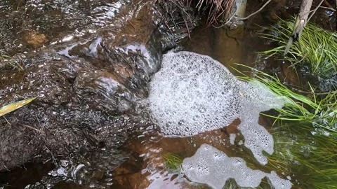 Polluted Stream Stock Footage 213246463