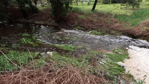 Polluted Stream Stock Footage 219794470