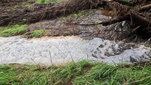 Polluted Stream Stock Footage 225227233