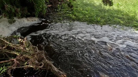 Polluted Stream Video stock 225227408