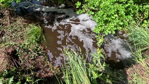 Polluted Stream Video stock 225227510