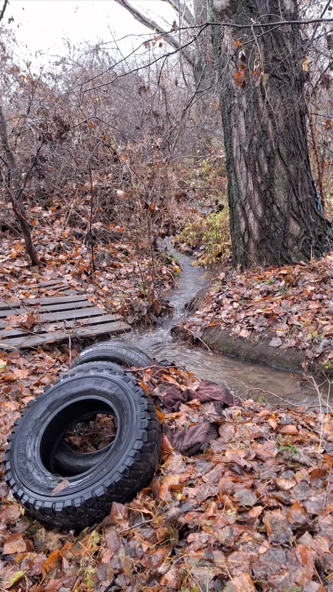 A polluted stream in a natural setting littered with discarded tires Stock Footage 294322326